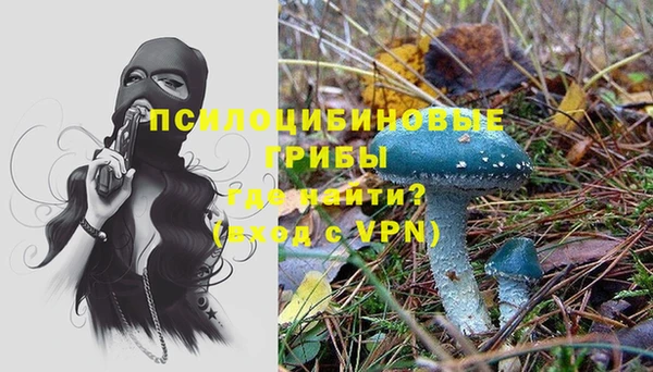 ALPHA-PVP Белокуриха