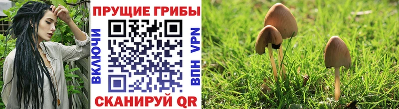 дарнет шоп  Воркута  МЕГА ССЫЛКА  Галлюциногенные грибы Psilocybine cubensis 